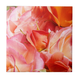 Flores de rosa rosadas arte en baldosas decorativa