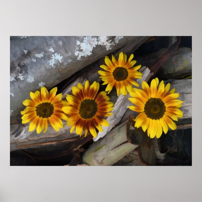 Flores De Sol En Logs Arte Rústico Amarillo Marrón (Frente)