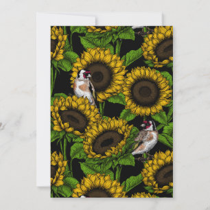 Flores de sol y ataúdes en negro