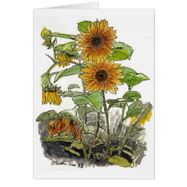 Flores de Sun (Frente)