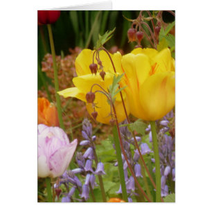 Flores De Tensión