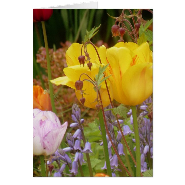 Flores De Tensión (Frente)