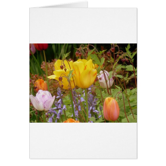 Flores De Tensión (Frente)