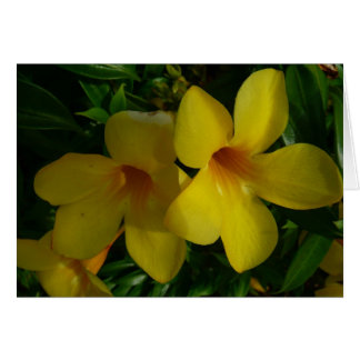 Flores de trompeta doradas II tropicales