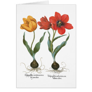 Flores de Tulipán Primaveral Vintage por Basilius