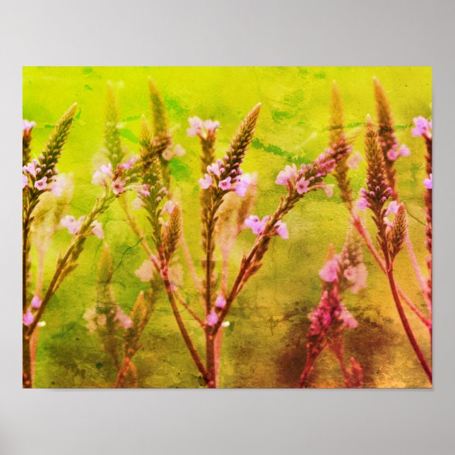 Flores de Vervain silvestres y arte floral múltipl (Frente)