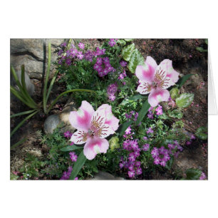 Flores del Alstroemeria
