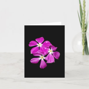 "Flores del bígaro después tarjeta en blanco de la