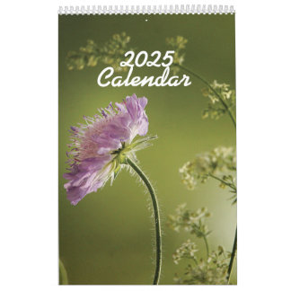 Flores del calendario 2025 archivadas