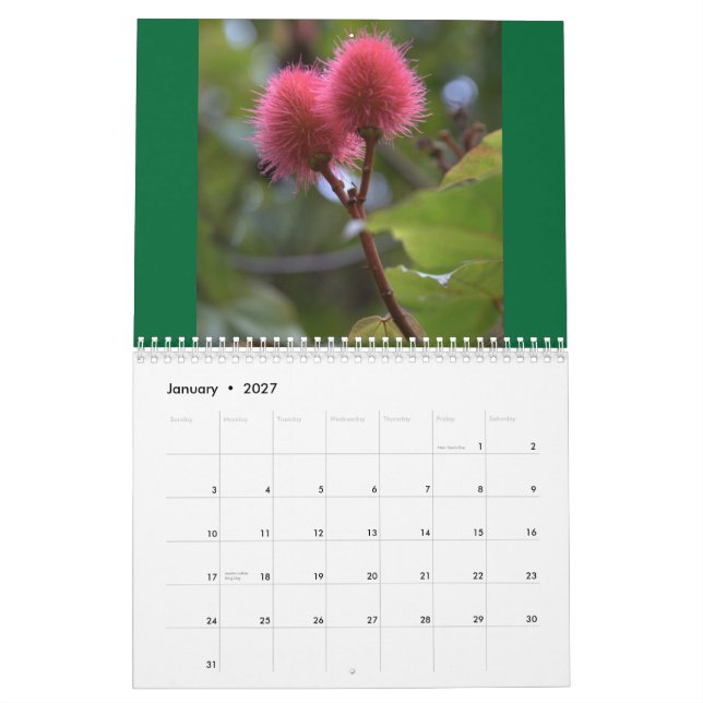 Flores del calendario de Hawaii 2010 (Jan 2027)
