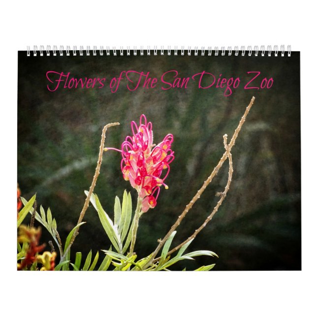 Flores del calendario zoológico de San Diego (Tapa)