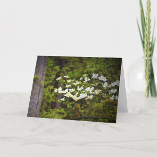 Flores del Dogwood, tarjeta