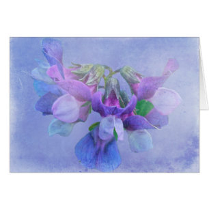 Flores del guisante de playa