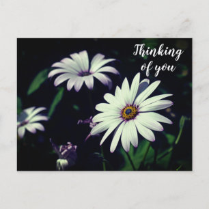 Flores del jardín blanco pensando en ti Tarjeta po