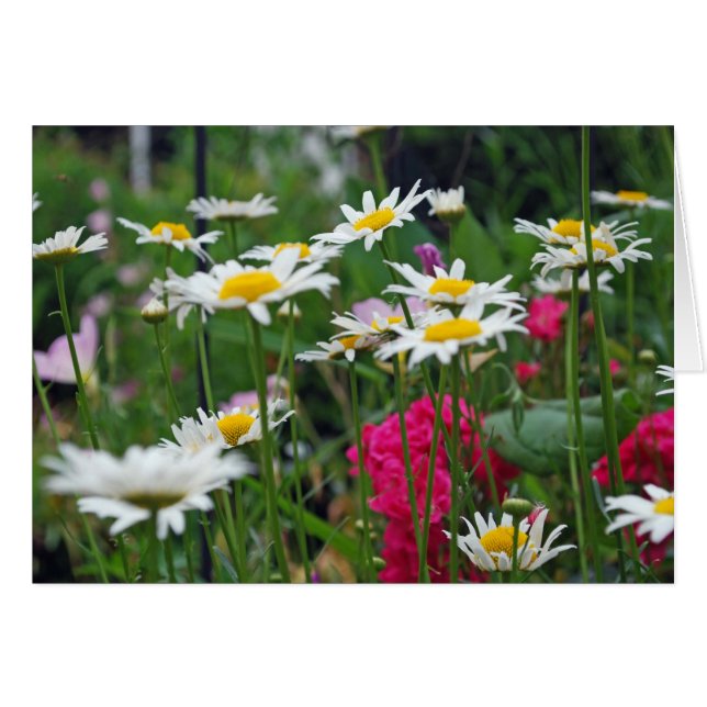 Flores del mundo (Anverso (Horizontal))