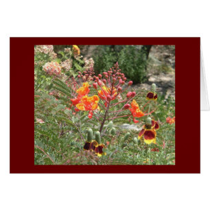 Flores del sudoeste del desierto