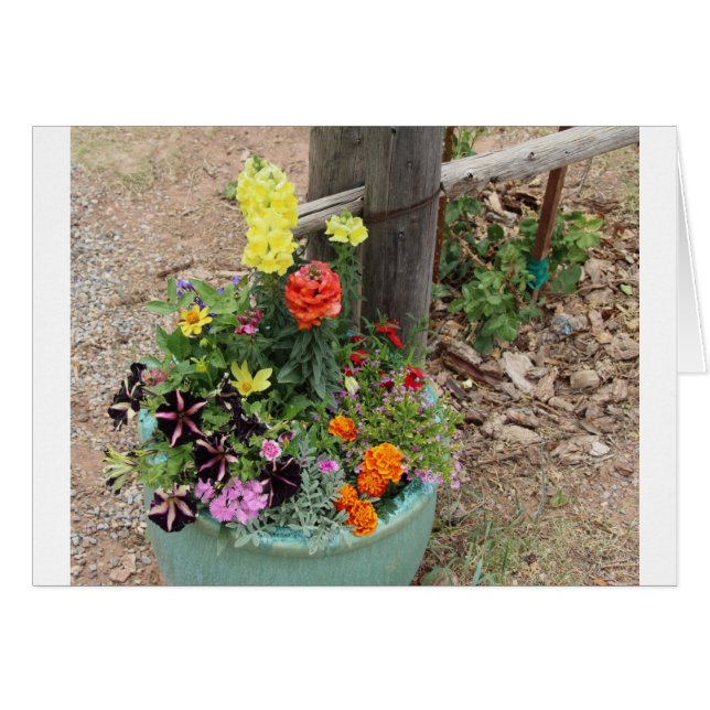 Flores del verano en pote de la turquesa (Anverso (Horizontal))