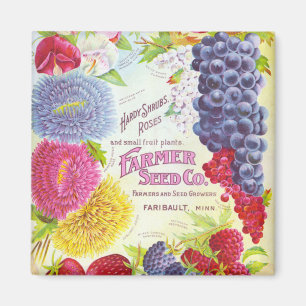 Flores del vintage y imán de la fruta