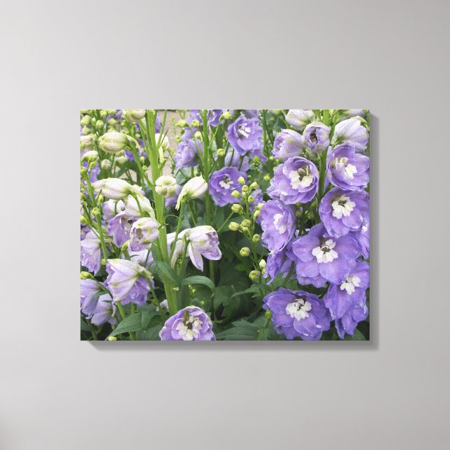Flores Delphinum Lienzo envuelto (Anverso)