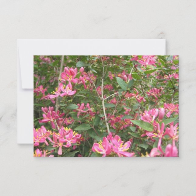 Flores Dichosas (Anverso)