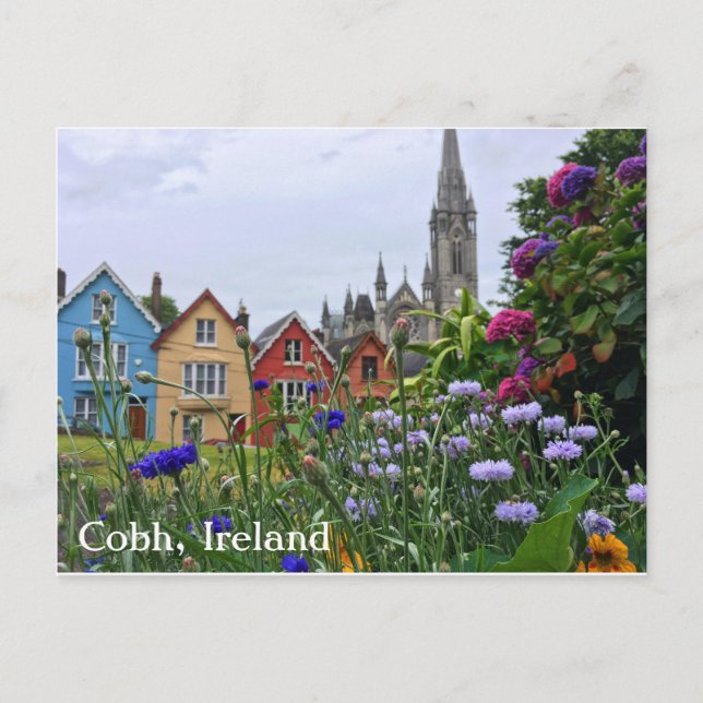 Flores en Cobh, postal de Irlanda (Anverso)