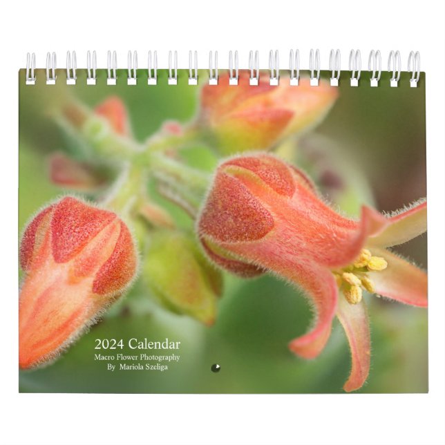 Flores en el calendario de pared 2024 en la fotogr (Tapa)