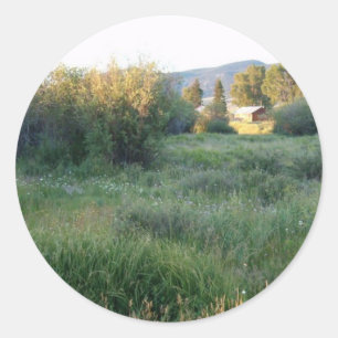 flores en el pegatina de Colorado