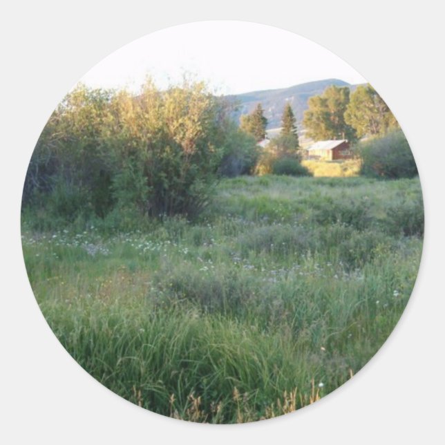 flores en el pegatina de Colorado (Anverso)