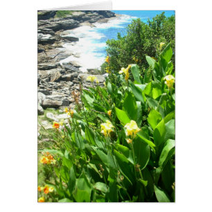Flores en la cala de Tamarama
