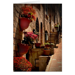 Flores en la calle de la Italia de Asís