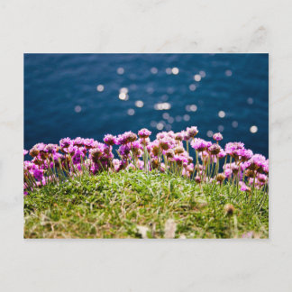 Flores en los acantilados de la postal de la madre