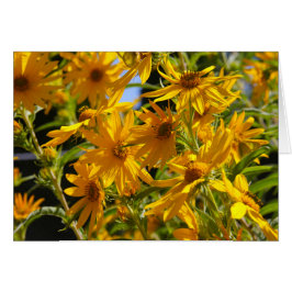 Flores en mi hierbas " flores en mi hierba "