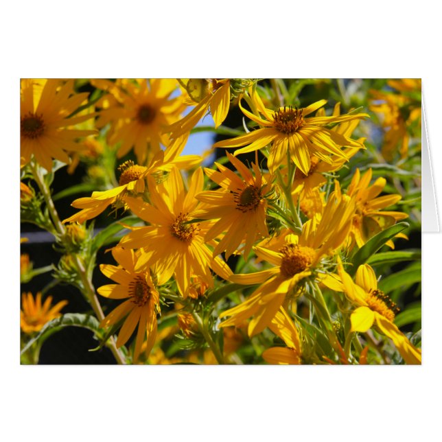 Flores en mi hierbas " flores en mi hierba " (Anverso (Horizontal))