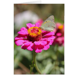 Flores en mi hierbas " flores en mi hierba "