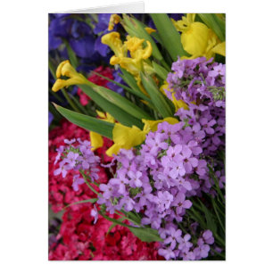 Flores en múltiples colores