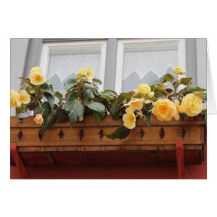 Flores en una jardinera de ventana