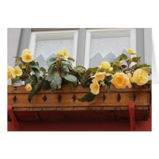 Flores en una jardinera de ventana