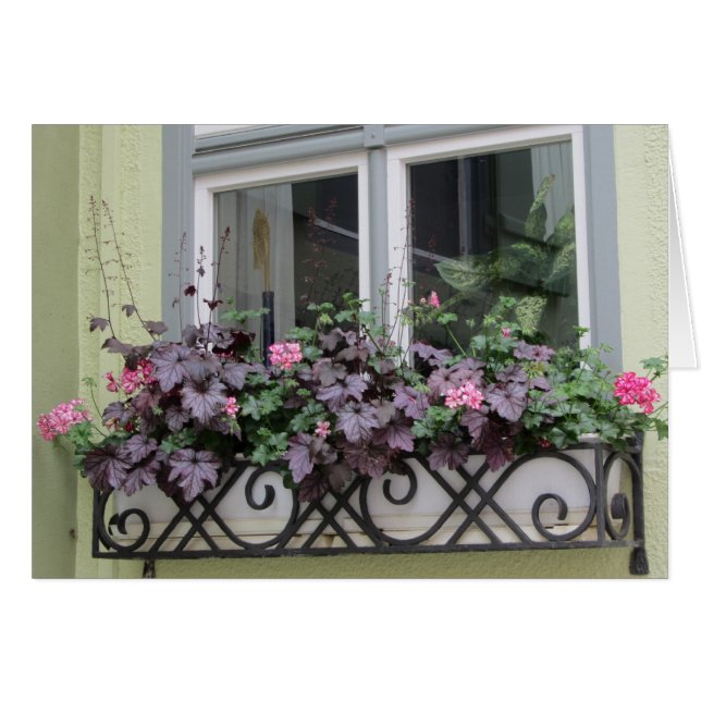 Flores en una jardinera de ventana (Anverso (Horizontal))