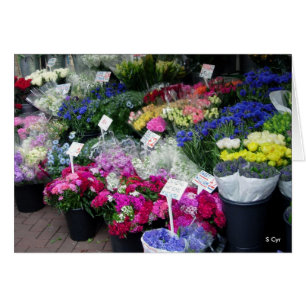 Flores En Venta, S Cyr