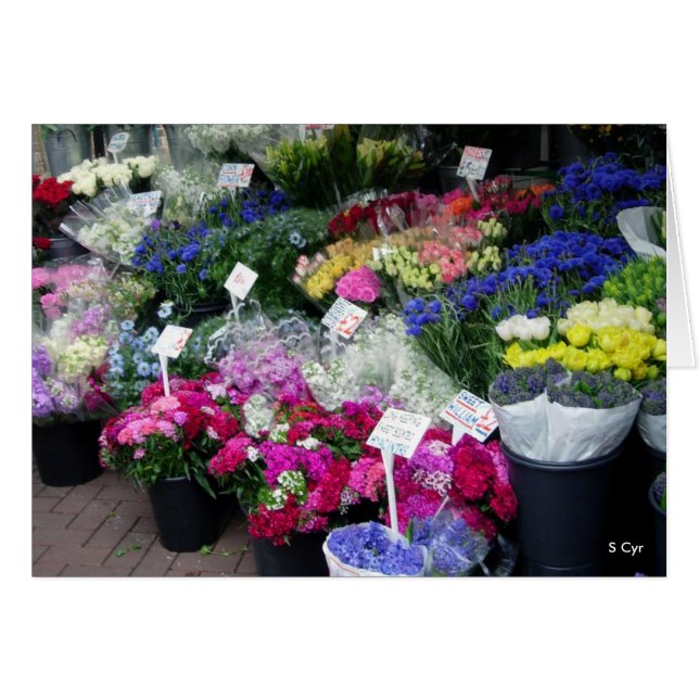 Flores En Venta, S Cyr (Anverso (Horizontal))