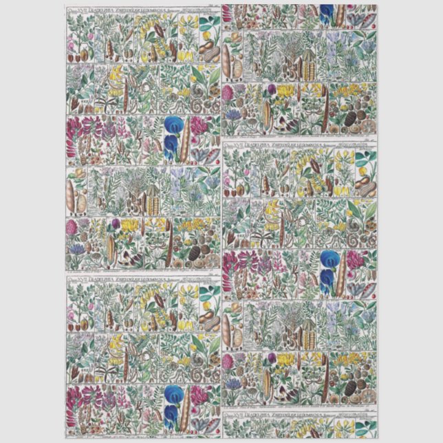 Flores Estilizadas Vintage Lámina de Libro Botánic (Anverso)