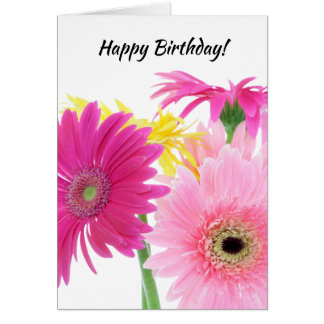 Flores Gerbera Daisy Piink