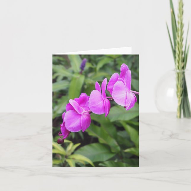 Flores Hawái rosa brillante Tarjeta de felicitació (Anverso)