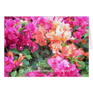 Flores Hawaianas