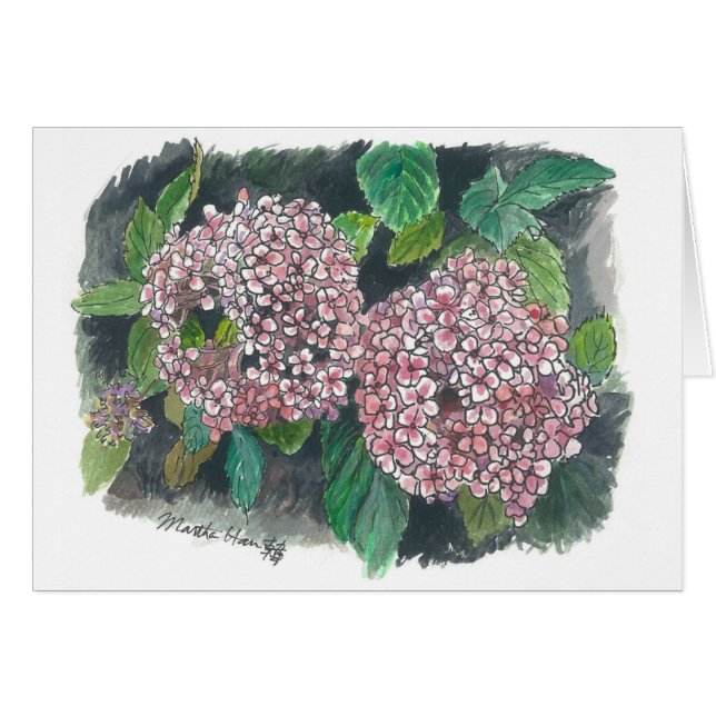 flores - Hydrangea rosado (Anverso (Horizontal))