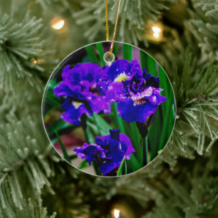 Flores Iris Ornamento Cerámico