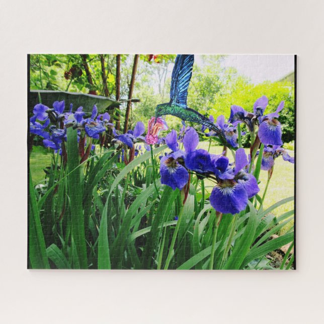 FLORES IRIS Y rompecabezas HUMMINGBIRD (Horizontal)