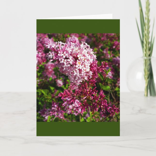 Flores- Lilacs en la tarjeta de jardín (Anverso)
