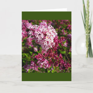 Flores- Lilacs en la tarjeta de jardín