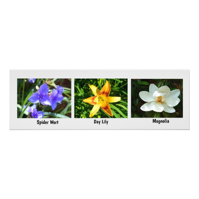 Flores macro Foto Ampliación (Frente)